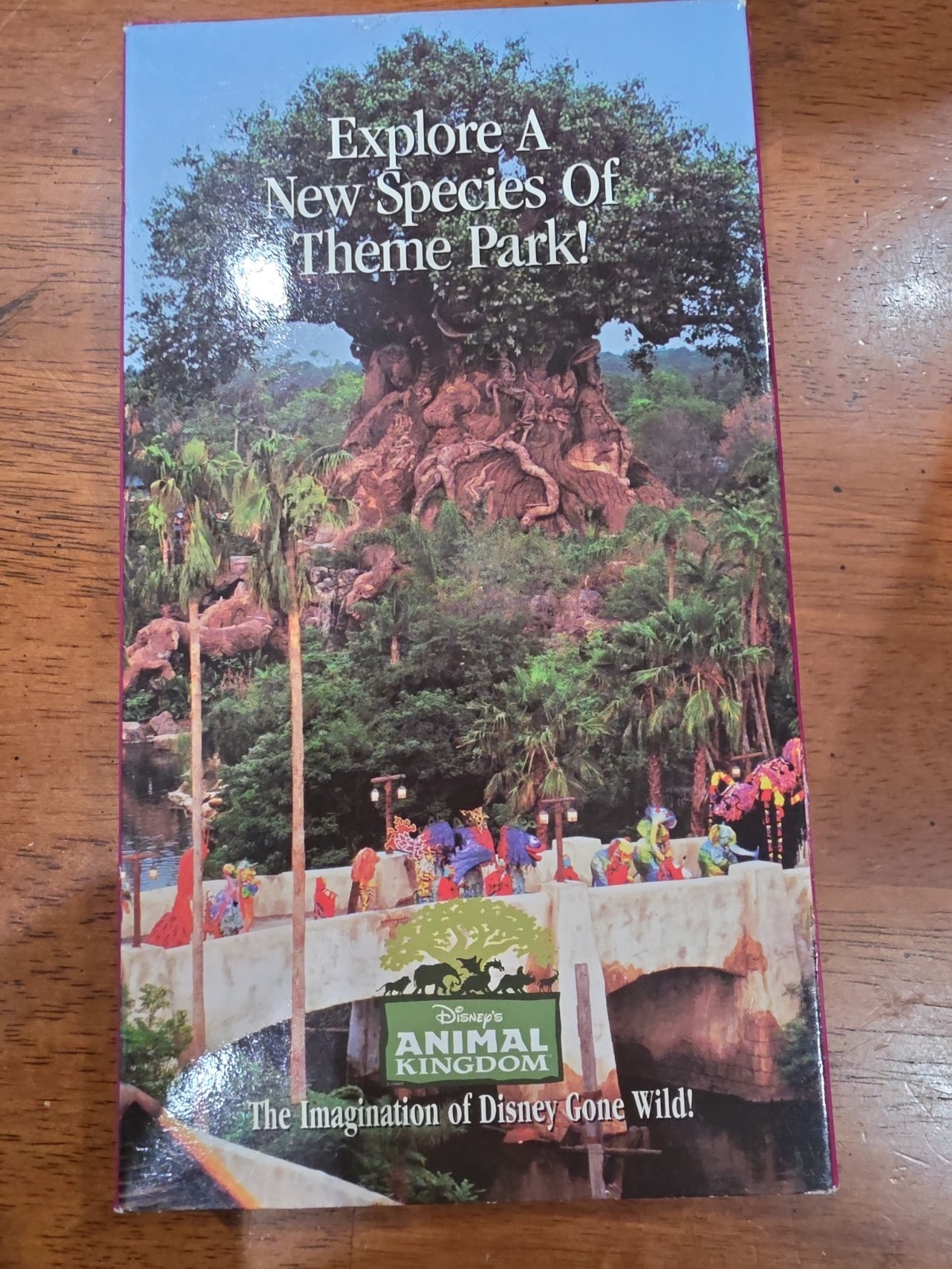 1998 Disney Animal Kingdom Opening Year Planning Kit Box Letter Tree of Life 1998 Disney Animal Kingdom Opening Year Planning Kit Box Letter Tree of Life