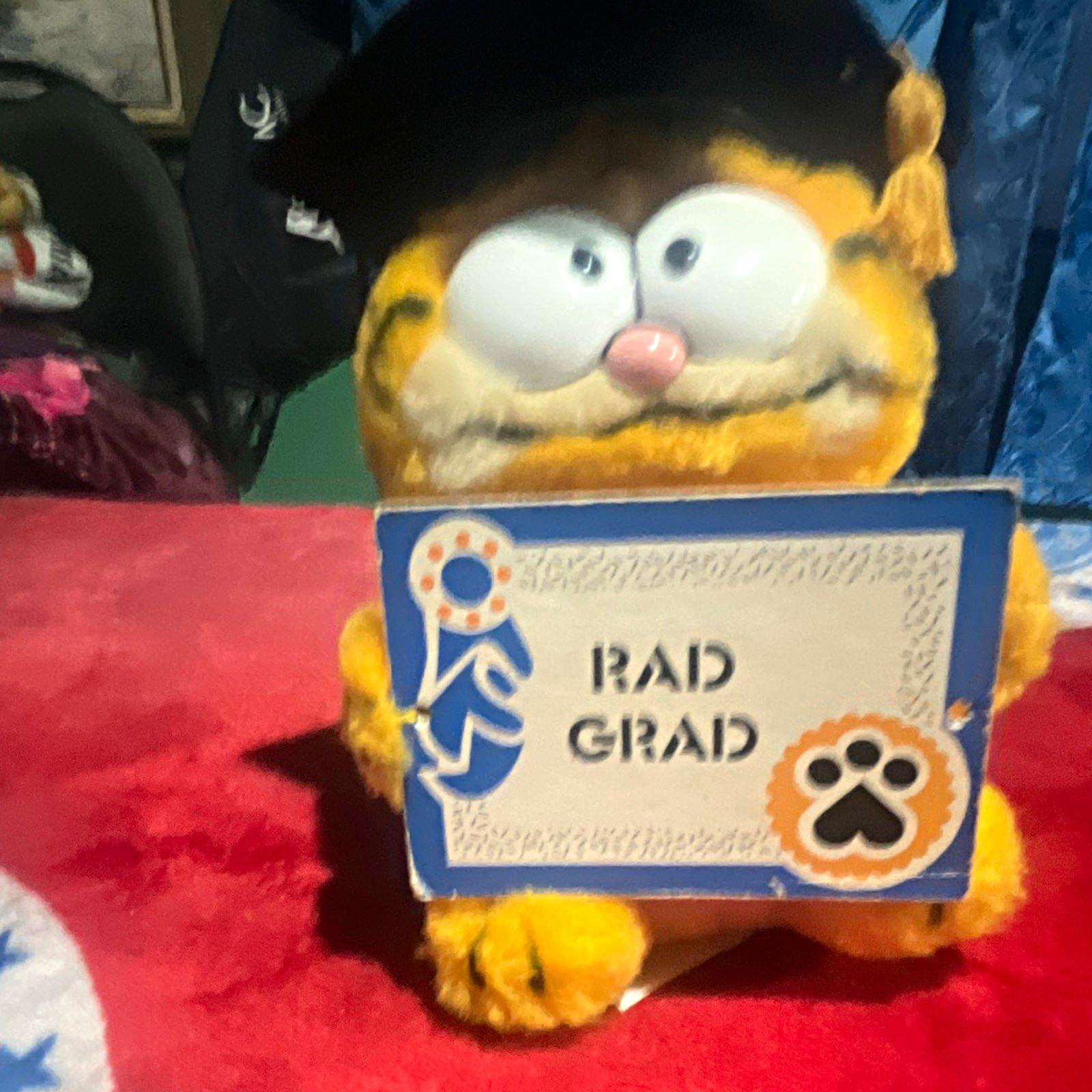 Rare Prototype Garfield Graduation Plush Rare Prototype Garfield Graduation Plush