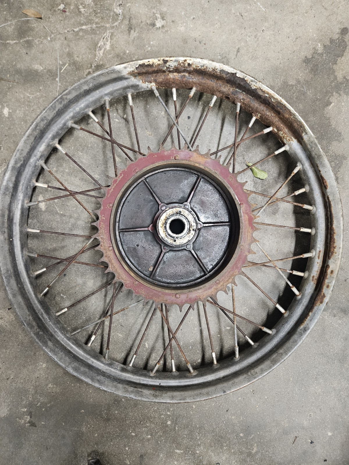 1949 Indian Motorcycle Rear Wheel Warrior Scout Arrow 149 249
