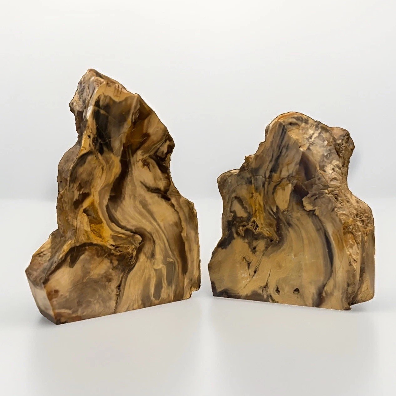 Stunning Petrified Wood Bookends Large 7in /5.5in, 8lbs, Exquisite Details