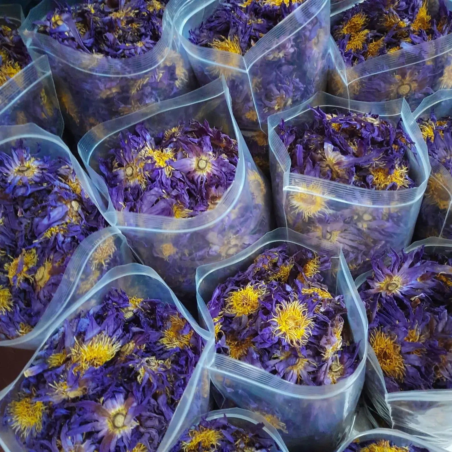 Organic Egyptian Blue Lotus Flowers: Bulk Meditation Tea from Ceylon Organic Egyptian Blue Lotus Flowers: Bulk Meditation Tea from Ceylon