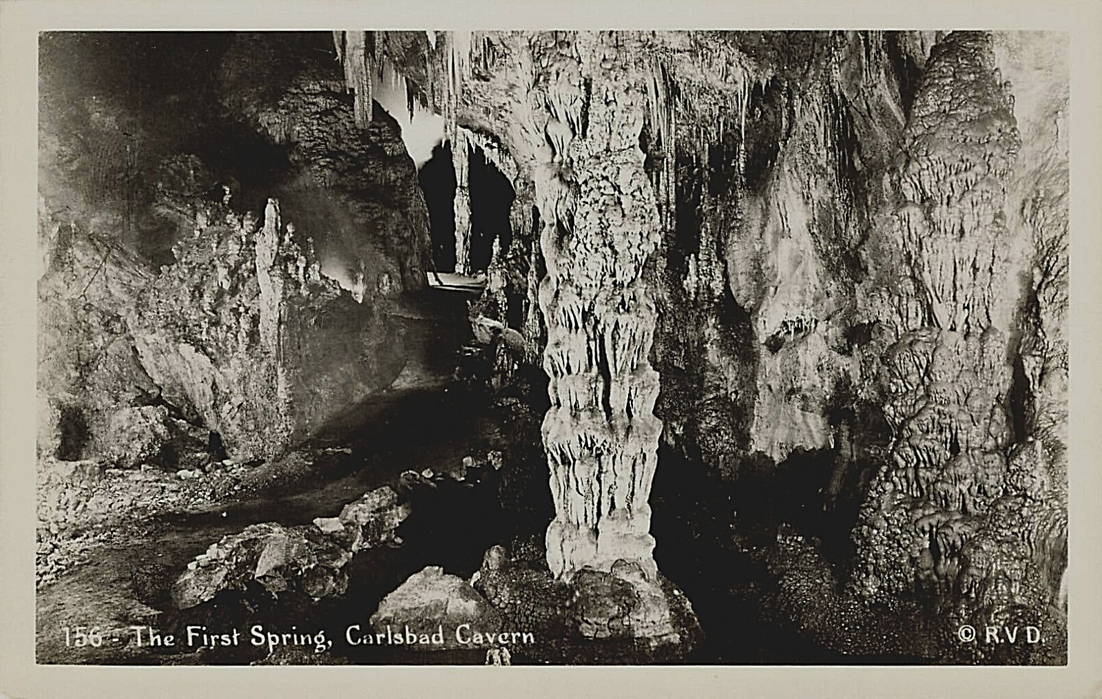 THE FIRST SPRING REAL PHOTO POSTCARD CARLSBAD CAVERN NM NEW MEXICO 1940s RPPC