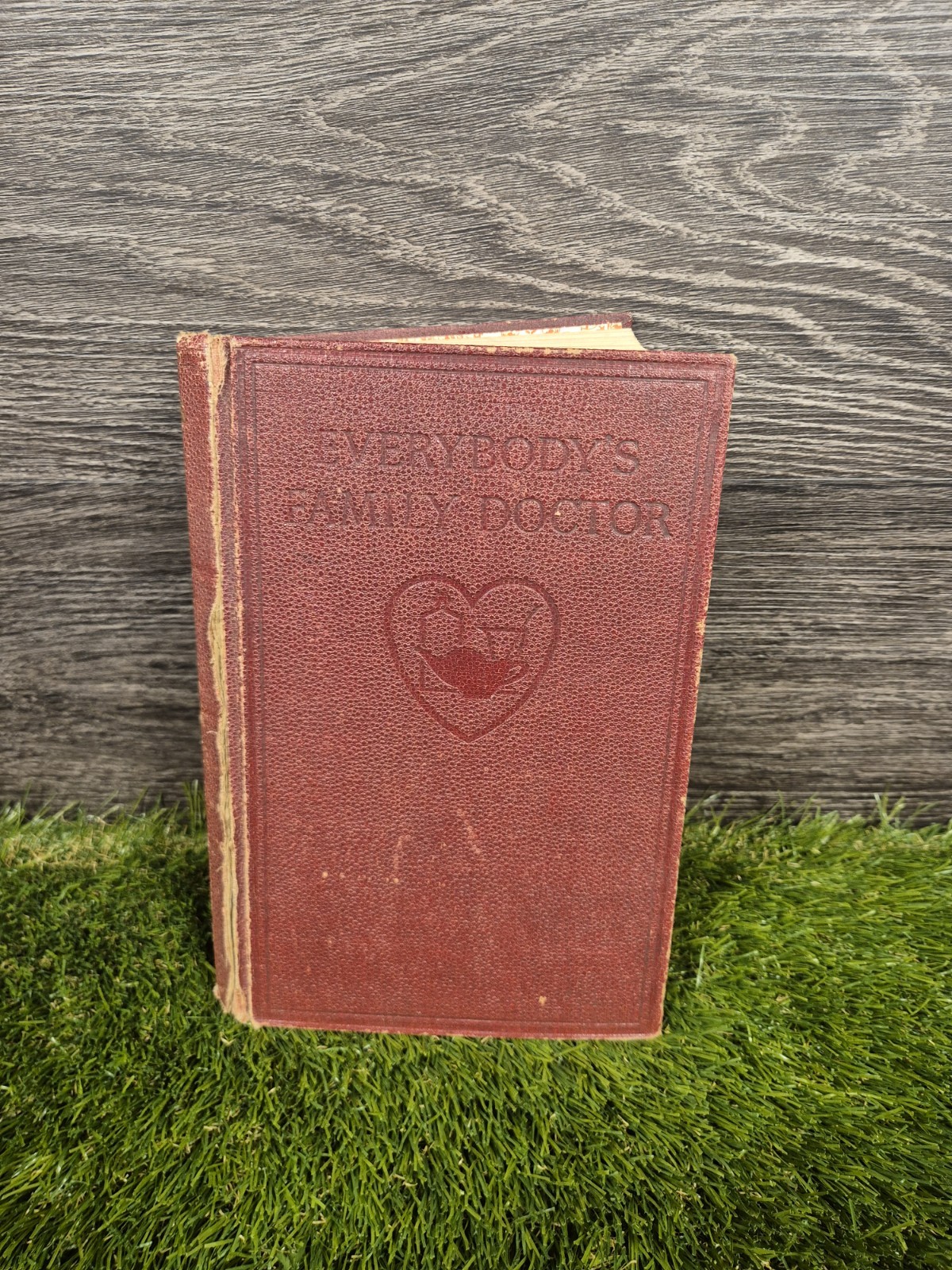 Everybody’s Family Doctor — Odhams Press (1935) Vintage Medical Book 