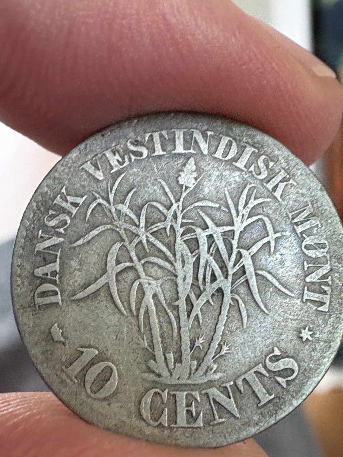 1859 DANISH WEST INDIES 10 CENTS SILVER LEAFY PLANT FREDERIK VII WORLD COIN RARE 1859 DANISH WEST INDIES 10 CENTS SILVER LEAFY PLANT FREDERIK VII WORLD COIN RARE