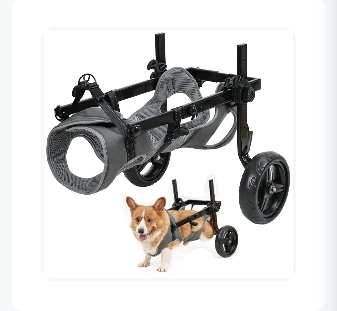 Dog Wheelchair For Back Legs Large Adjustable Pet Mobility Cart 2 Wheels Dog Wheelchair For Back Legs Large Adjustable Pet Mobility Cart 2 Wheels