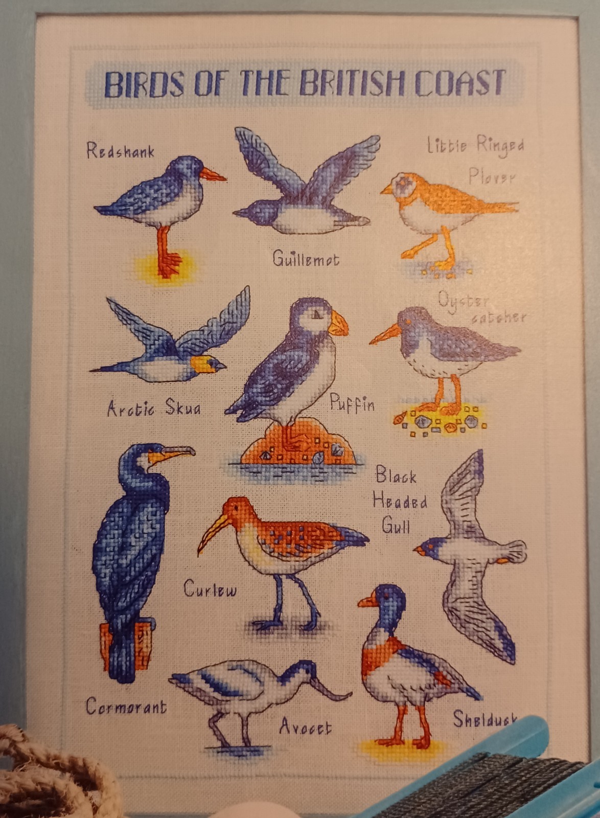 British Coast Birds CROSS STITCH PATTERNS Carefully removed from a magazine.