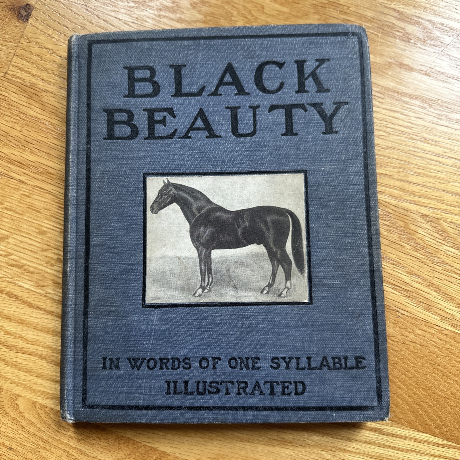 Antique 1905 Edgar Lee BLACK BEAUTY In Words of One Syllable Book  