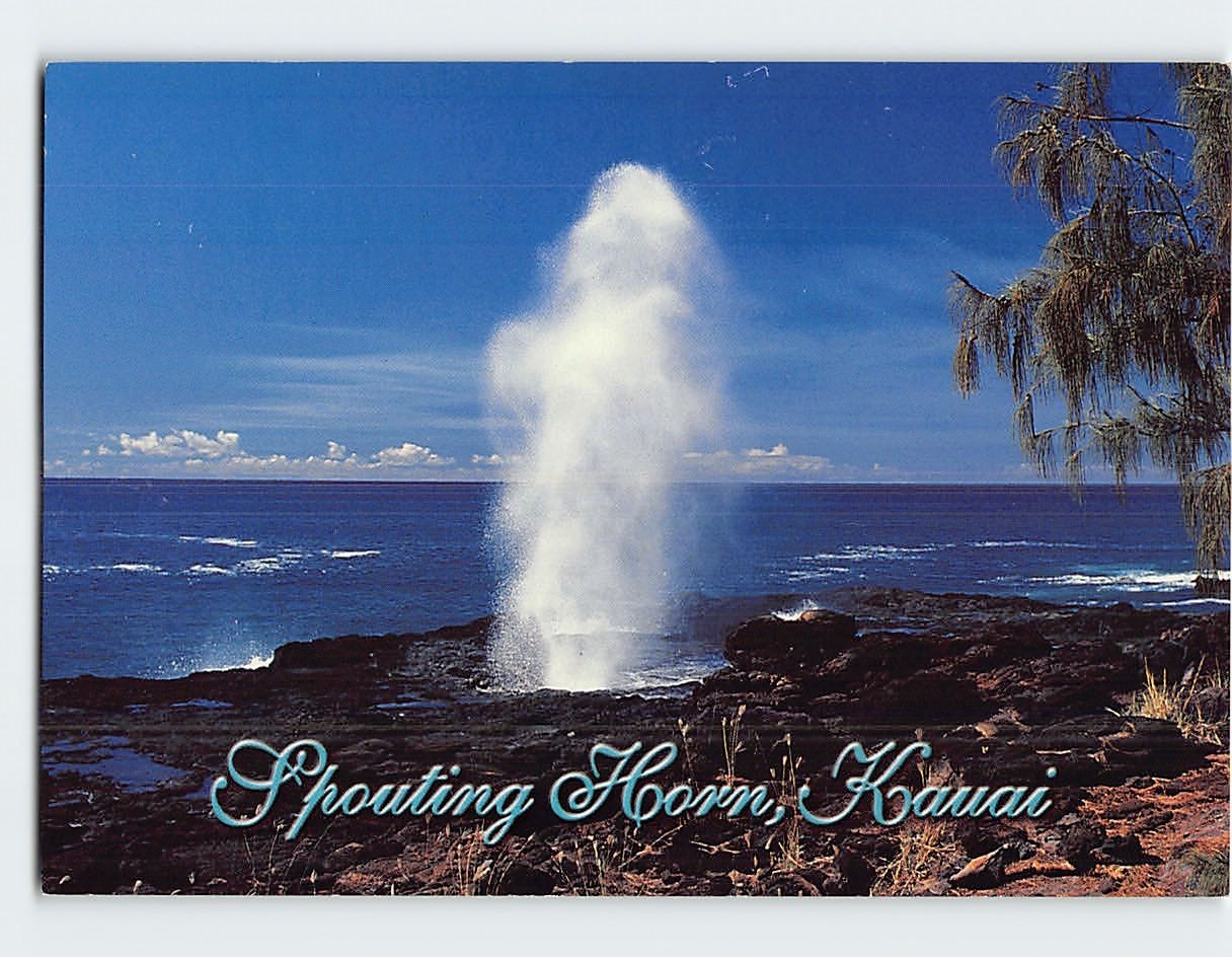 Postcard Spouting Horn blow hole Kauai Hawaii USA