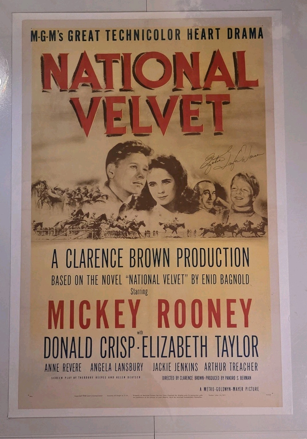 RARE Elizabeth Taylor PSA DNA Signed National Velvet Original Poster 1944 Signed