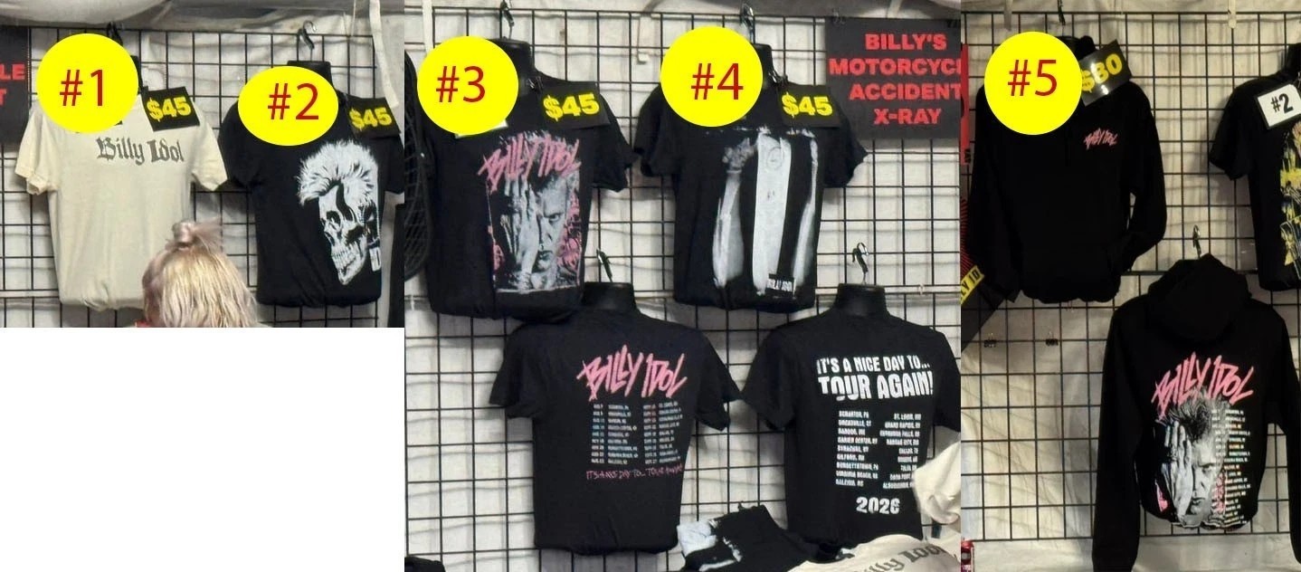Billy Idol Its A Nice Day To Tour Again 2026 T-shirt reprint S-5XL