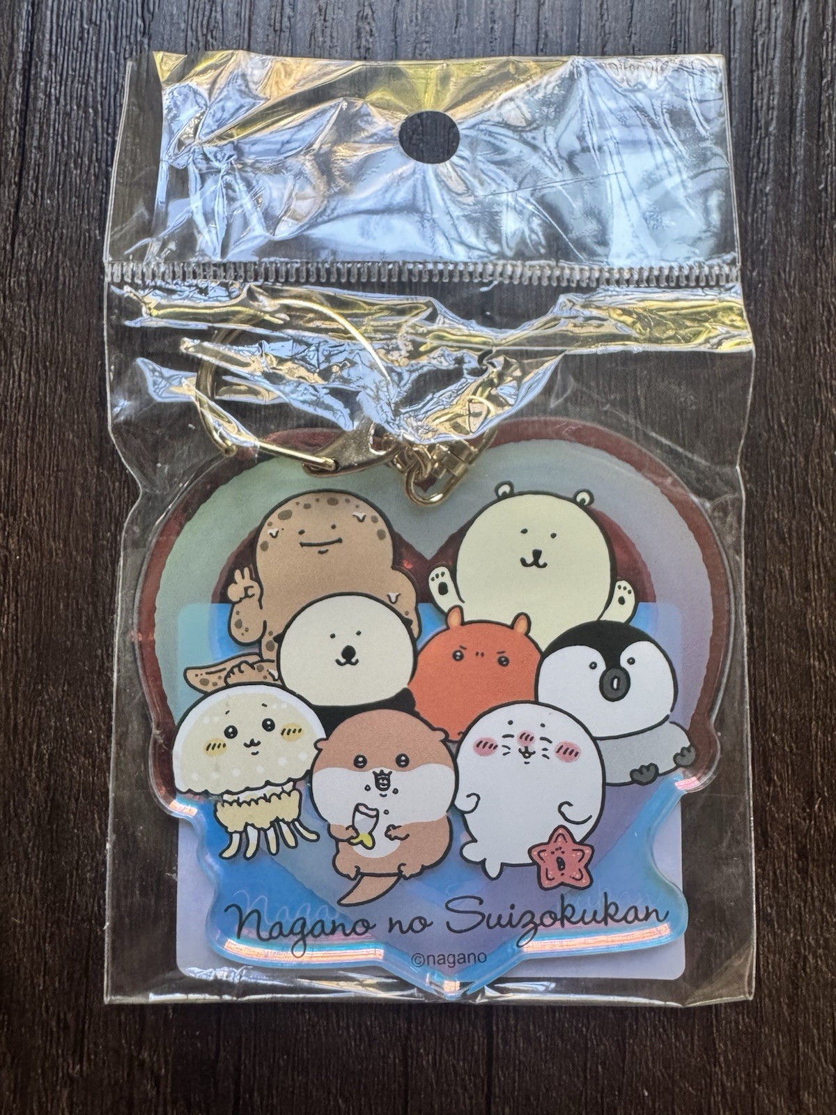 Nagano Friends Aquarium Heart Keychain – Suizokukan Acrylic Charm Japan - NIB