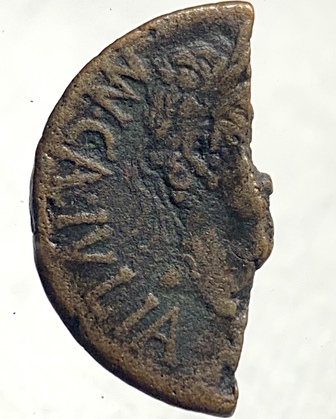 Emperor Tiberius Provincial Roman Coin 14AD-37AD Bull 28mm As Scarce Cut Damage
