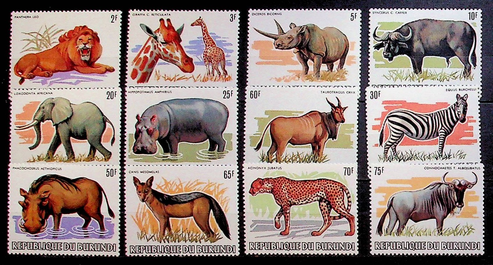 BURUNDI Sc 589-600(NO #601) NH ISSUE OF 1983 - ANIMALS - Sc$187 - (DLM34)