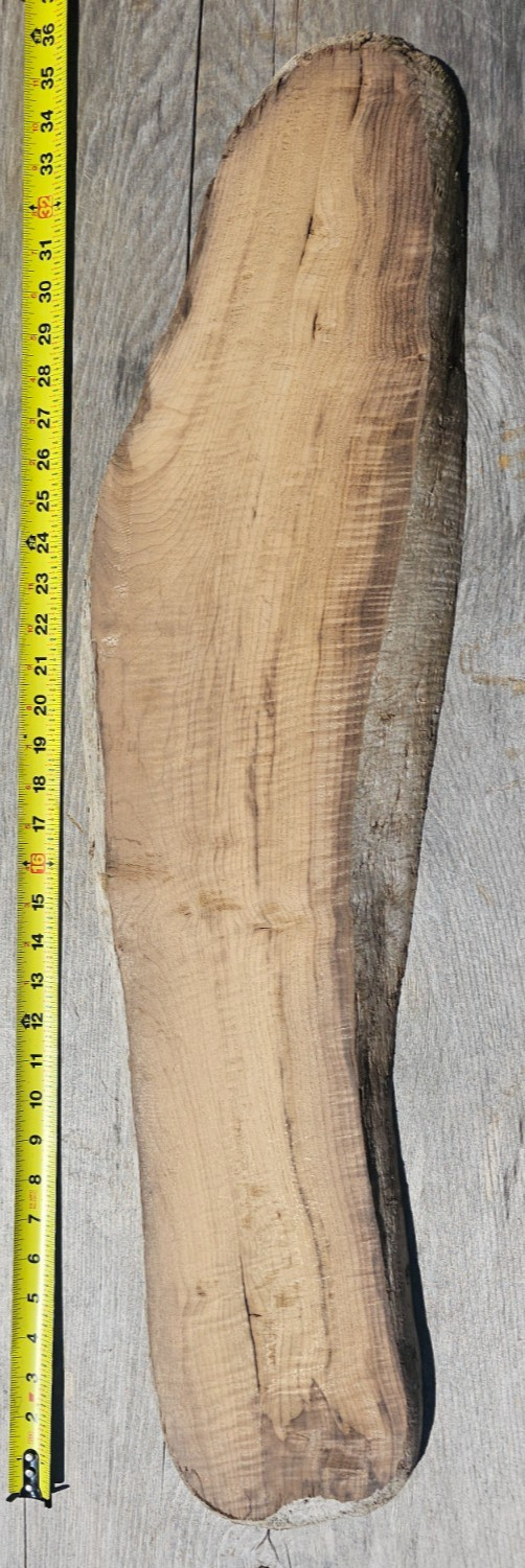River Salvaged Fiddleback Myrtlewood Live Edge Slab (Rare) River Salvaged Fiddleback Myrtlewood Live Edge Slab (Rare)