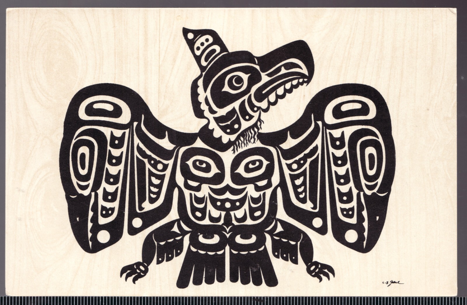 Postcard : c.1960\'s Pacific Northwest \ Postcard : c.1960\'s Pacific Northwest \