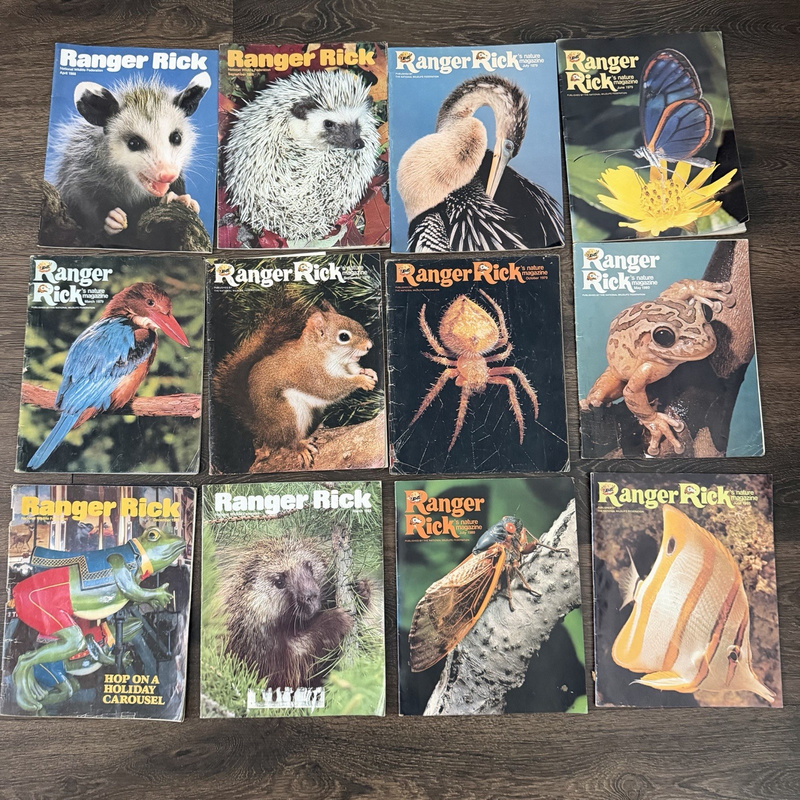 Vintage 1970s 1980s Ranger Rick Magazine Lot of 12 Wildlife Animals