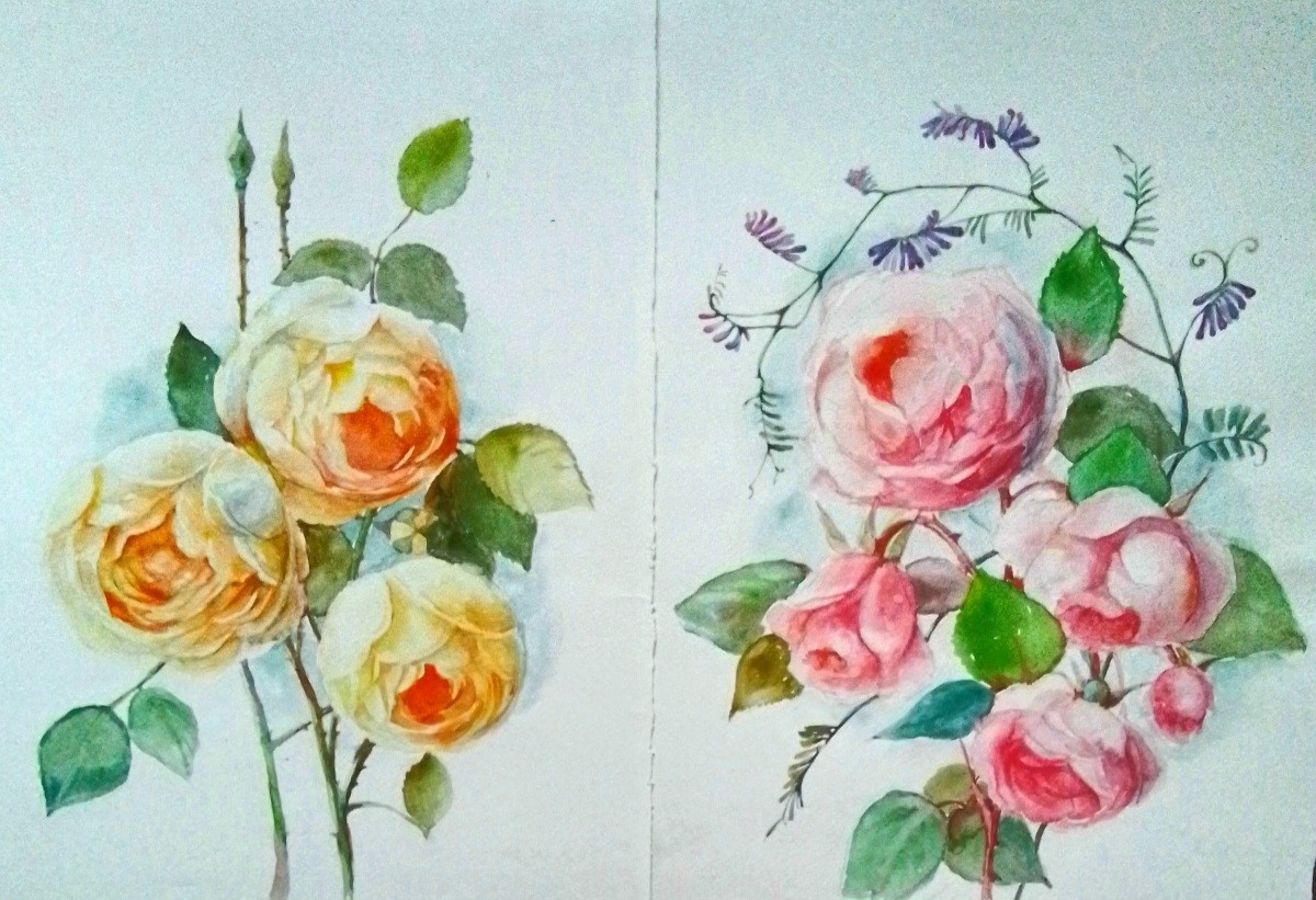 Set of Two  Watercolors  Roses Watercolor Flower  Painting   Original  Art