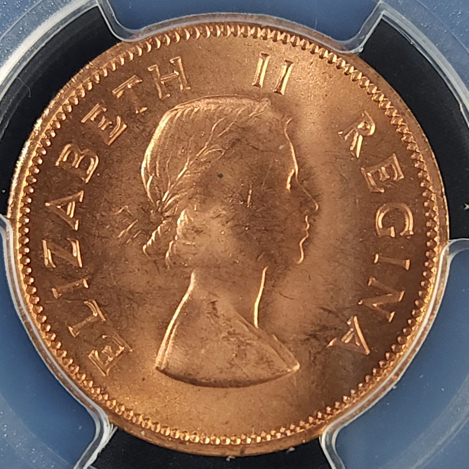 1959 South Africa 1/2 Penny 1/2D PCGS MS65 RD Blazing Red Luster