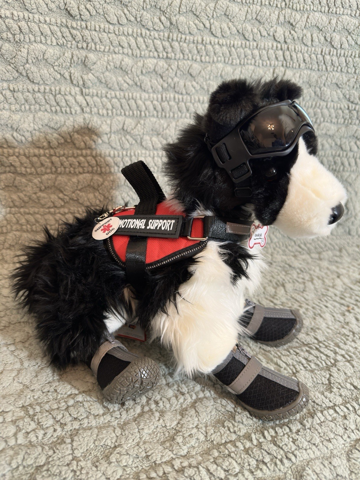 ESSA Chase Border Collie Dog Emotional Support Douglas Dog With All Gear