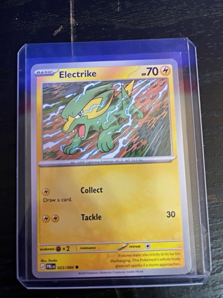 The Pokémon Company Electrike 049/132 Regular Common EN 2016 The Pokémon Company Electrike 049/132 Regular Common EN 2016