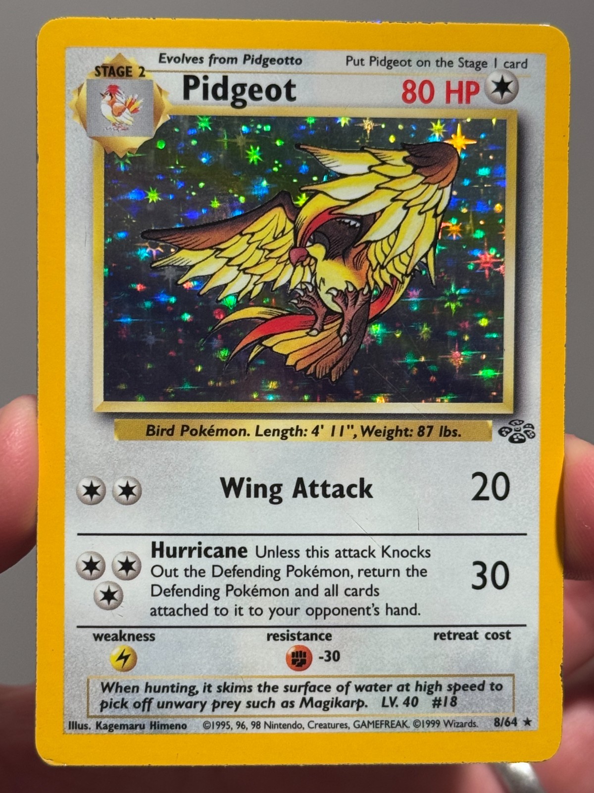 Pidgeot Jungle 8/64 HOLO Rare Jungle Unlimited Pokemon TCG WOTC - MP Pidgeot Jungle 8/64 HOLO Rare Jungle Unlimited Pokemon TCG WOTC - MP