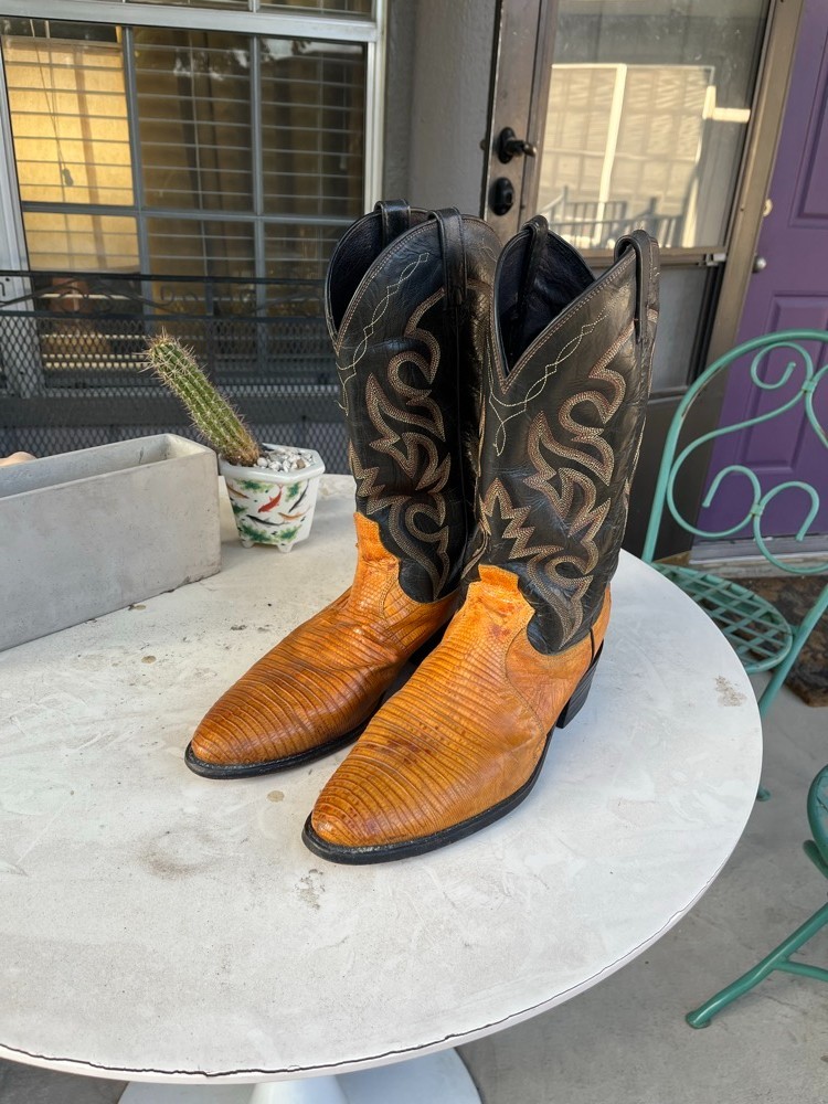 Dan Post Winston Teju Lizard Cowboy Boots Men\'s 12 D Cognac Brown Vintage