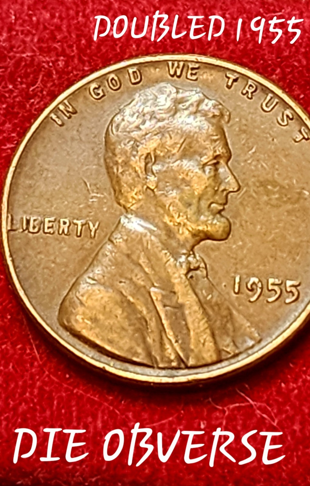 1955 double die Obverse Wheat Cent 💰🌾 #Coin #Collection #History #Cent