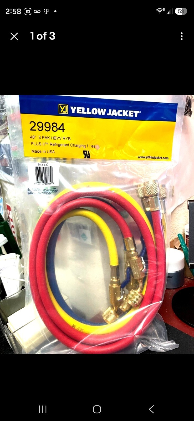 YELLOW JACKET, 29984, 48 YELLOW JACKET, 29984, 48