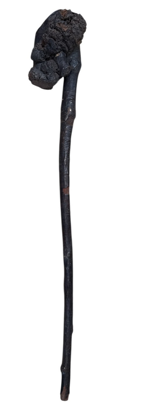 Antique Native American Vtg Fire Hardened Root War Club Weapon 25\ Antique Native American Vtg Fire Hardened Root War Club Weapon 25\