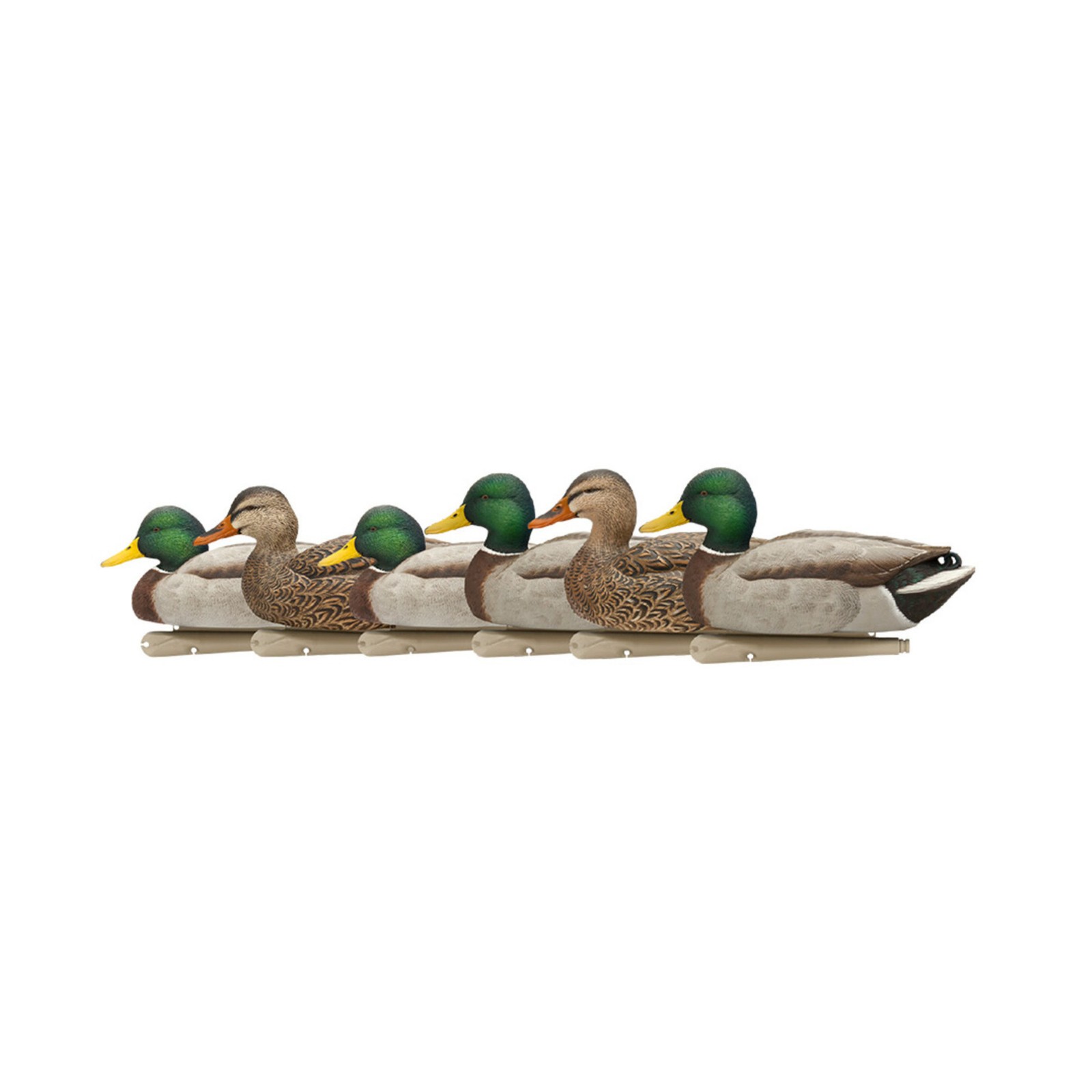 Avian X Topflight Realistic Open Water Mallard Duck Decoys Set of 6 (Multicolor)