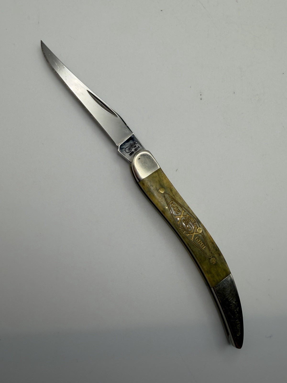 Tiny Toothpick 2014 Case Cutlery XX 125 Years Folding Pocket Knife New 610096 Tiny Toothpick 2014 Case Cutlery XX 125 Years Folding Pocket Knife New 610096