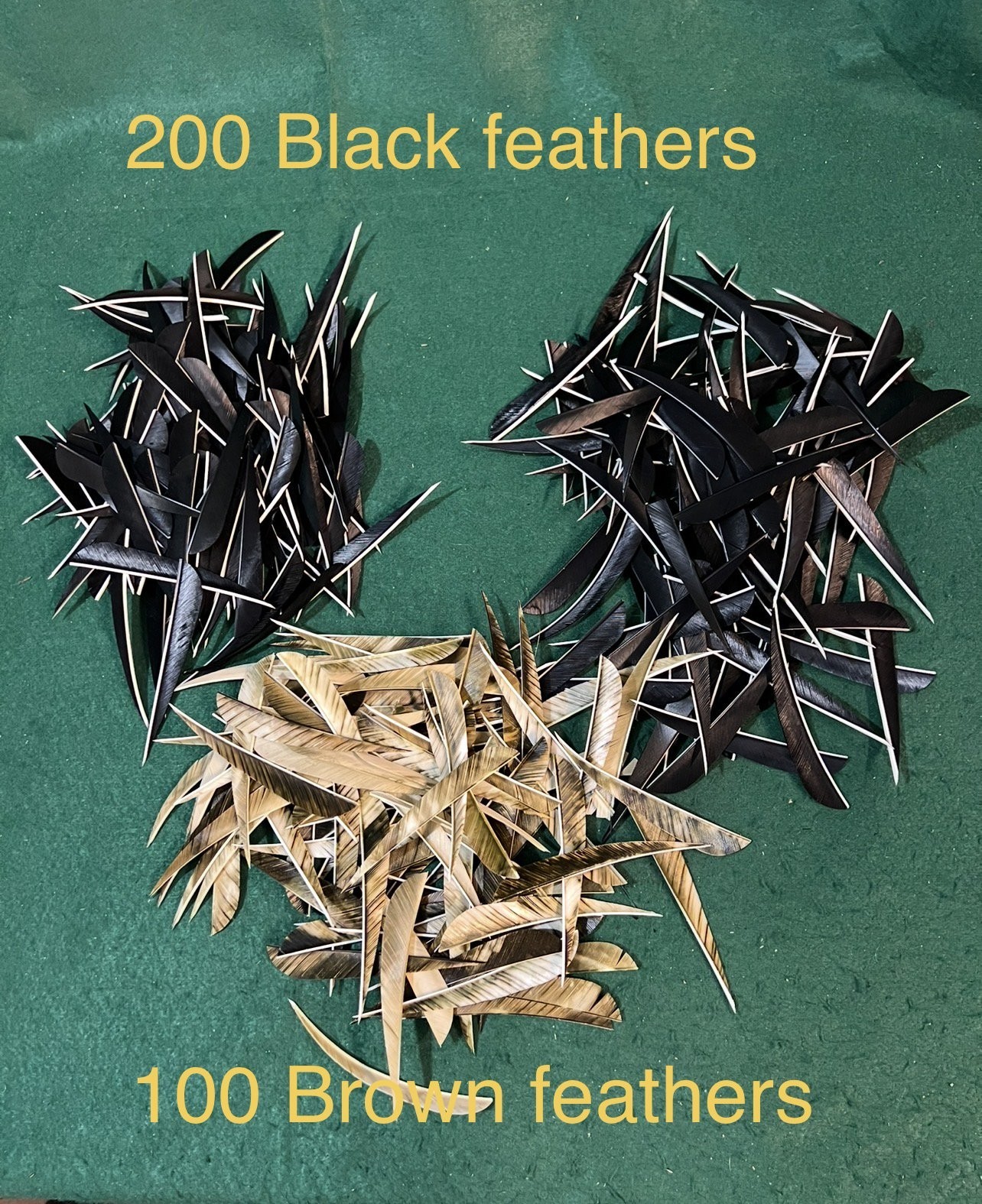 Lot 300 pcs Archery Arrow Feathers Fletching 5” Lot 300 pcs Archery Arrow Feathers Fletching 5”