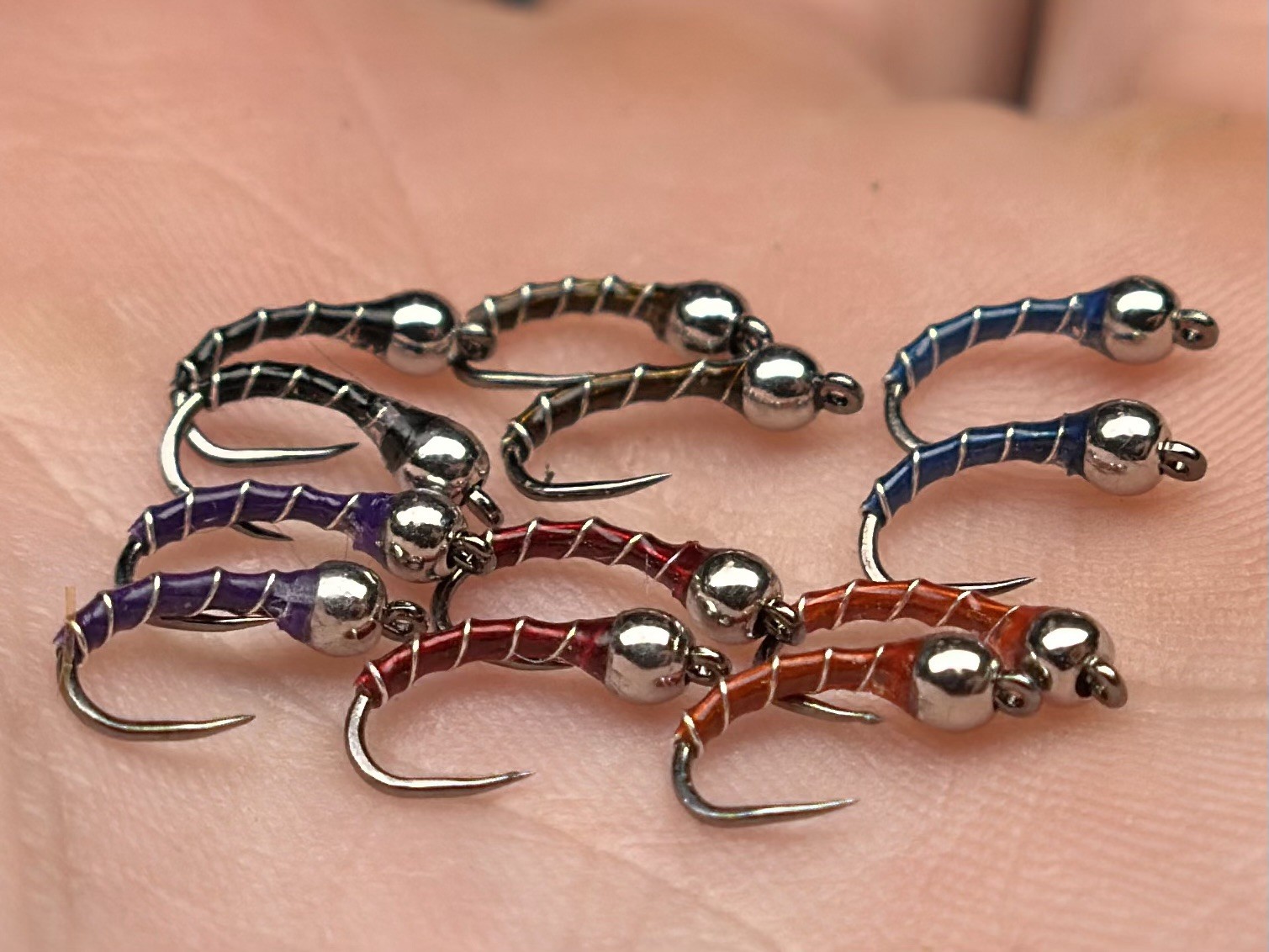 Zebra Midge Pack- 12 Flies