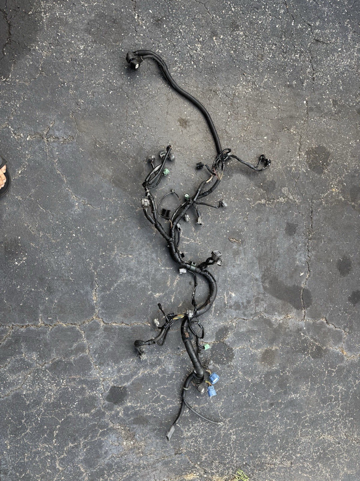 97-01 Honda Prelude H22A4 Manual OEM Engine Wiring Harness 97-01 Honda Prelude H22A4 Manual OEM Engine Wiring Harness