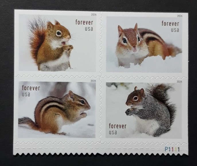 US Scott #6129-32, 2026 Forvr, Squirrels & Chipmunks in Snow Plate# Block of 4
