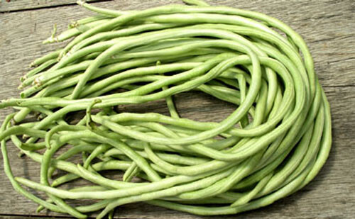 15+Yard Long Bean seeds Asian Chinese Long Bean String beans Productive USA