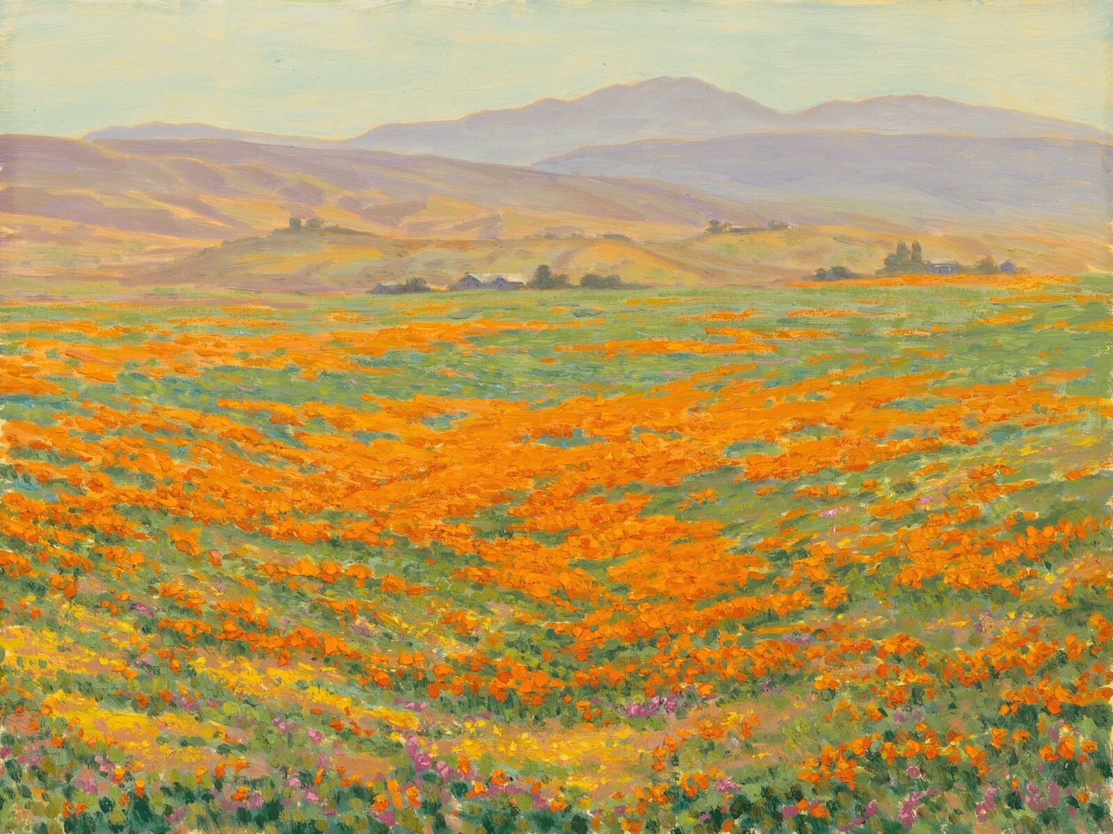 California Wildflowers Original Landscape Oil Plein Air Painting 12x16