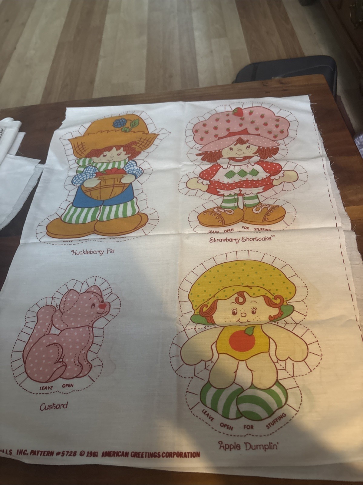 Strawberry Shortcake & Friends Doll Pattern Cut &Sew VTG 1980 Spring Mills #5728 Strawberry Shortcake & Friends Doll Pattern Cut &Sew VTG 1980 Spring Mills #5728