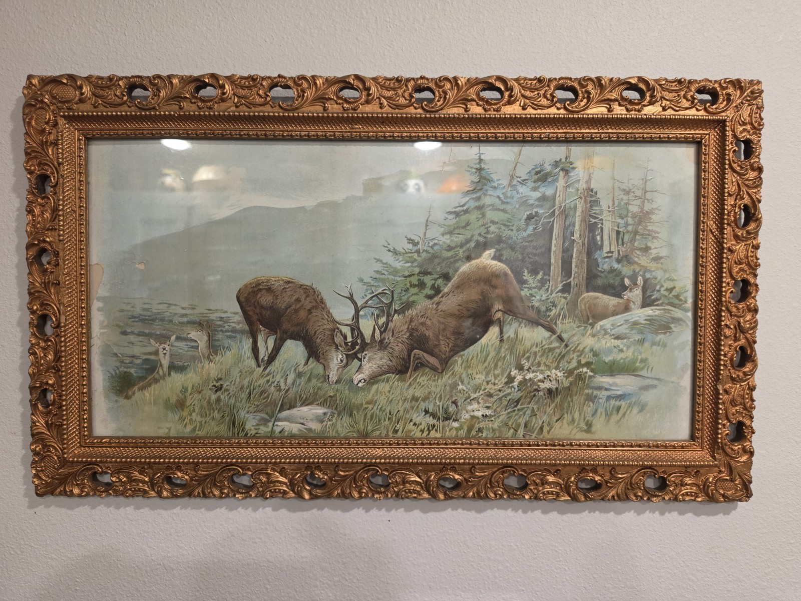 Ornate Gold Gilt Gesso Frame Battling Stags Kampfende Hirsche Print Circa 1890\'s Ornate Gold Gilt Gesso Frame Battling Stags Kampfende Hirsche Print Circa 1890\'s