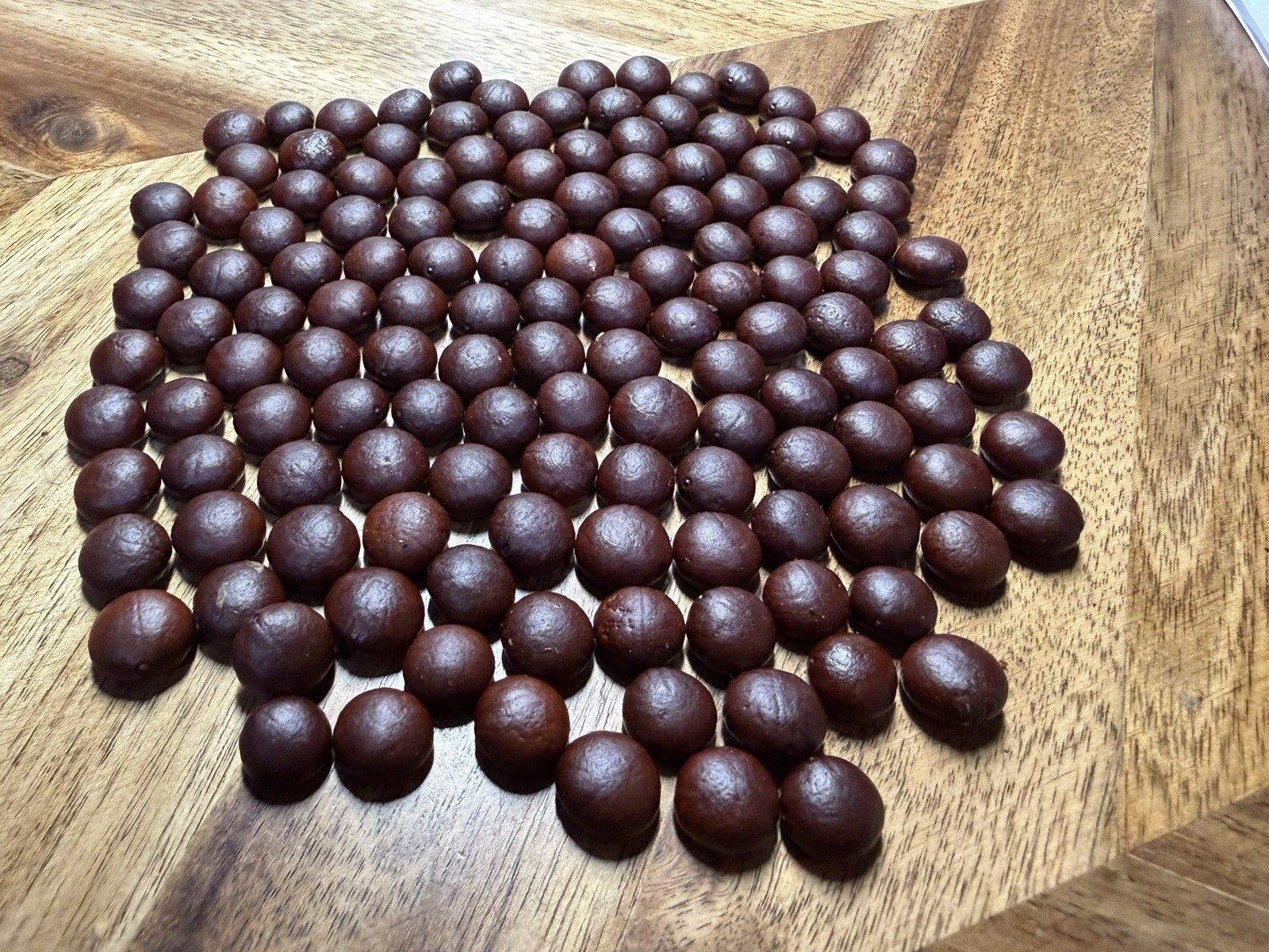 Fresh Sabal Mexicana (Texas Palmetto) Seeds - Cold Hardy Palm - Cleaned & Ready