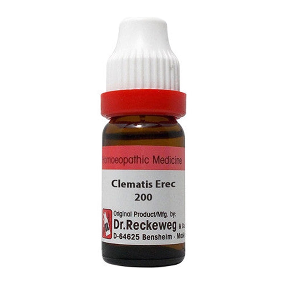 Dr. Reckeweg Clematis Erec Dilution 200 CH Dr. Reckeweg Clematis Erec Dilution 200 CH