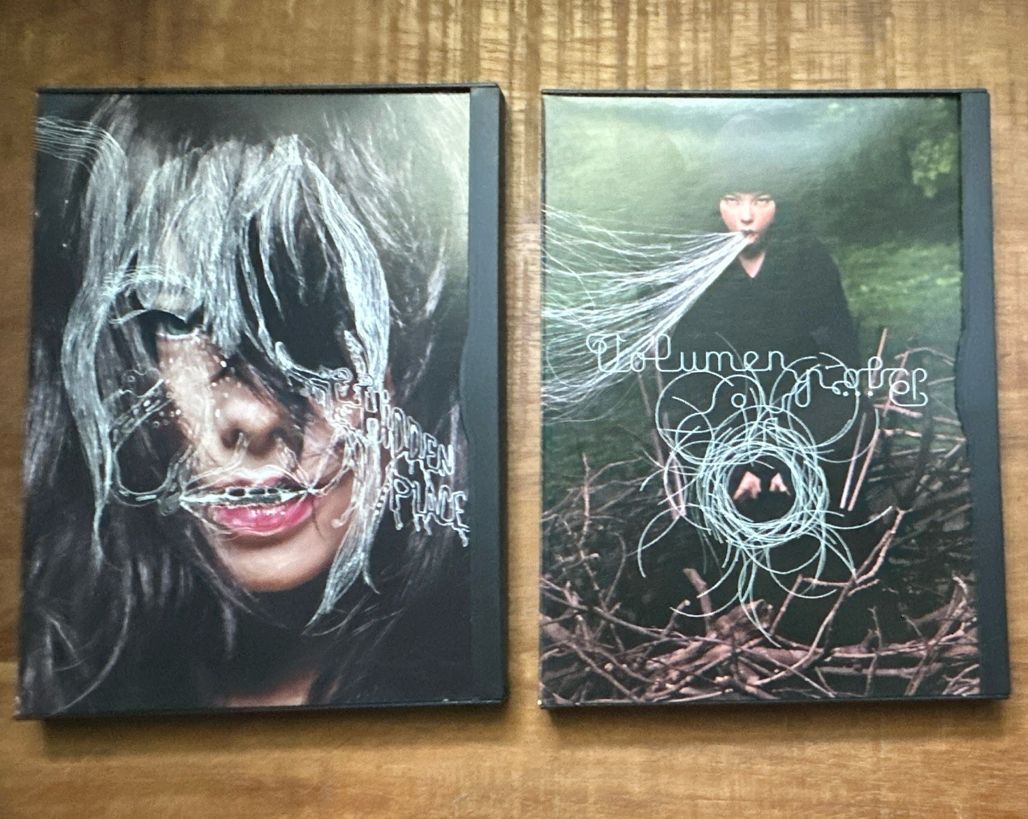 Björk Hidden Place / Björk Volumen DVD 2-Disc Music Video Set Björk Hidden Place / Björk Volumen DVD 2-Disc Music Video Set