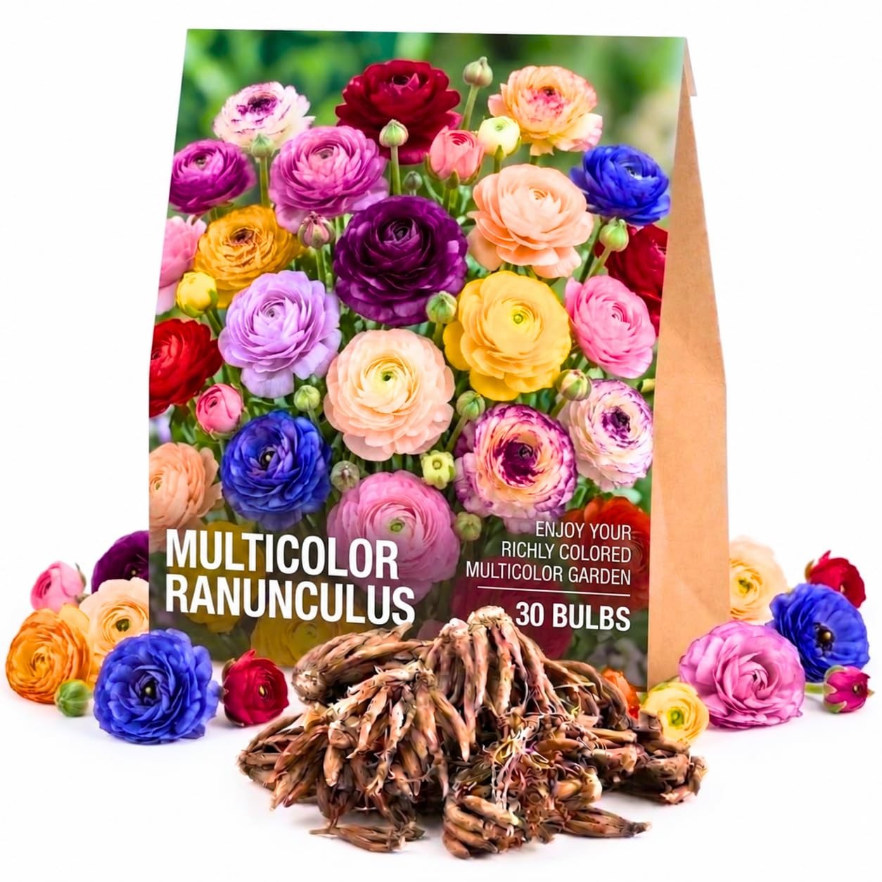 30 Multicolor Ranunculus Bulbs for Planting, Vibrant Perennial Flower 30 Multicolor Ranunculus Bulbs for Planting, Vibrant Perennial Flower