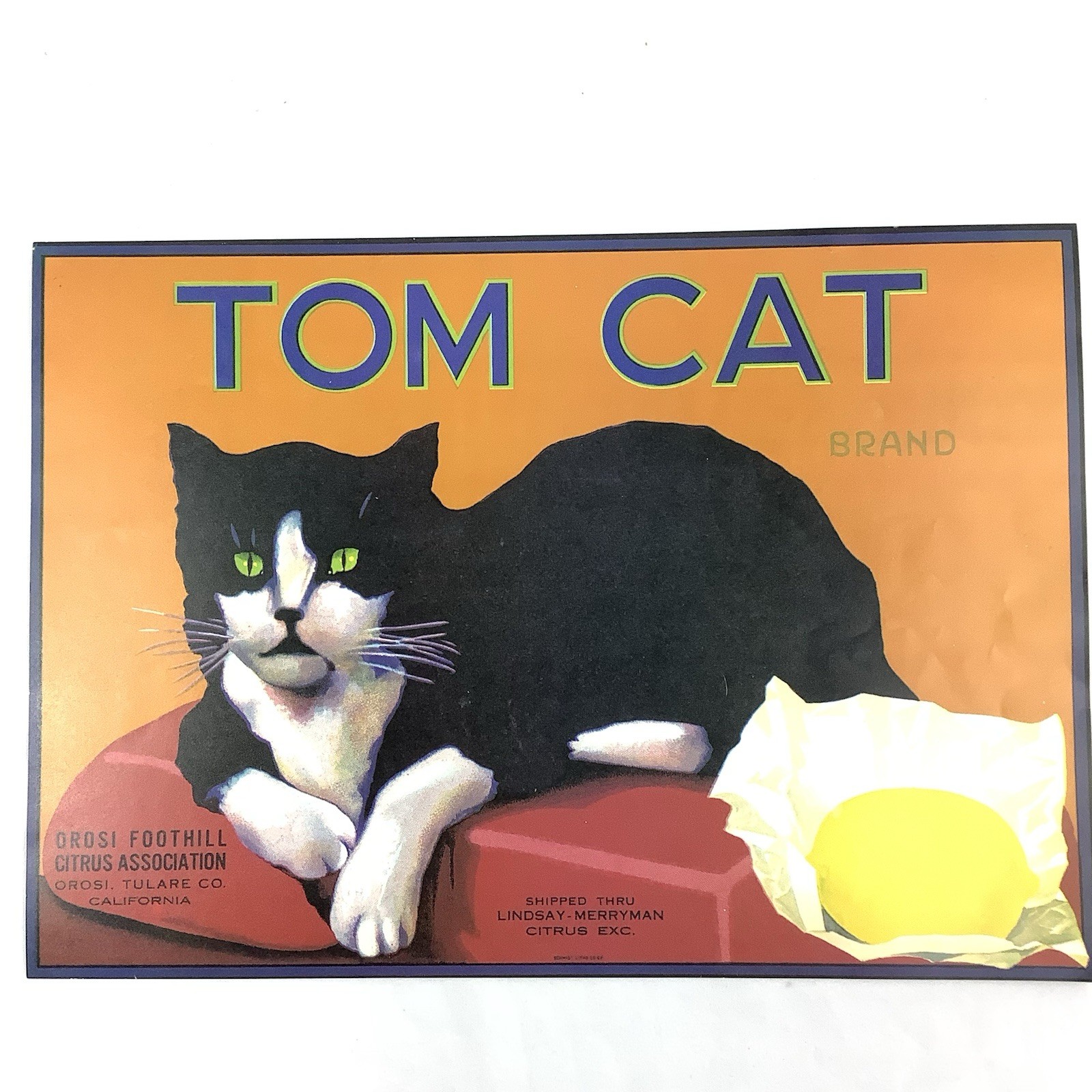 Vintage 1930s Tom Cat Lemon Crate Label Orosi Foothill Citrus Association Litho