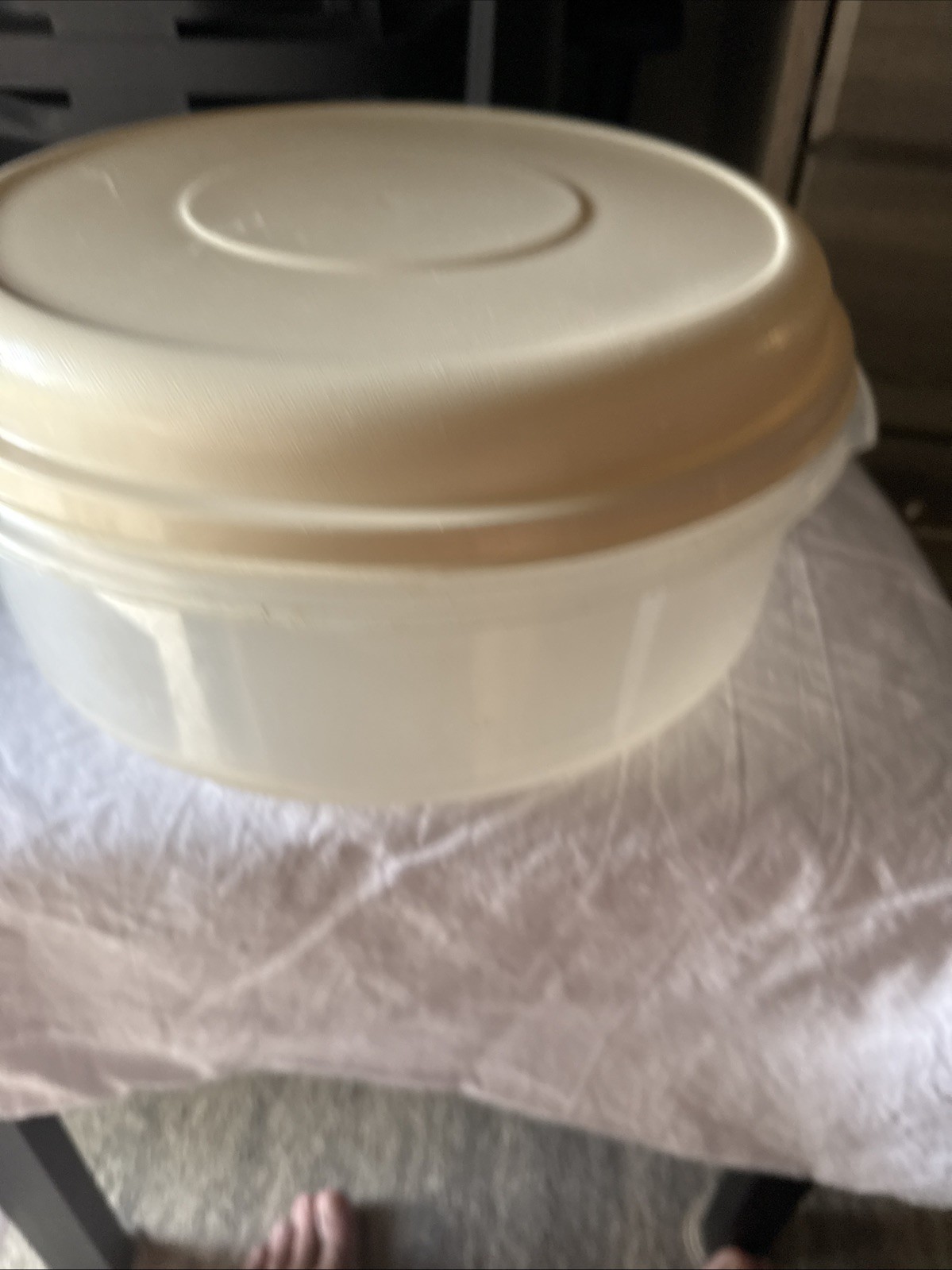 Rubbermaid 5 1/2 Quart, 22 Cups 5.2 L Storage Container Serve & Saver Used Nice.
