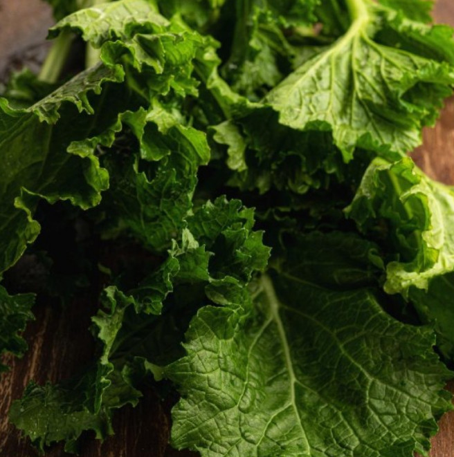SEVEN TOP TURNIP Best Tasting Greens, Sprouting Heirloom Cool Non-GMO 250 Seeds