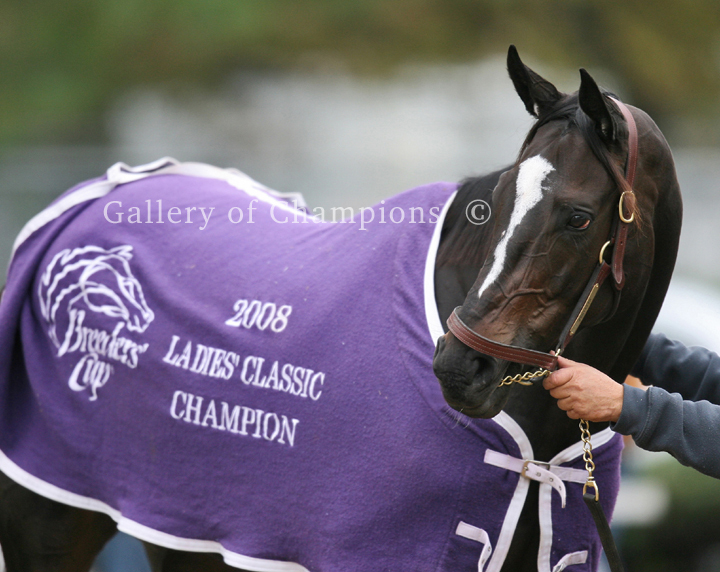 Zenyatta Portrait #5 Photo 8