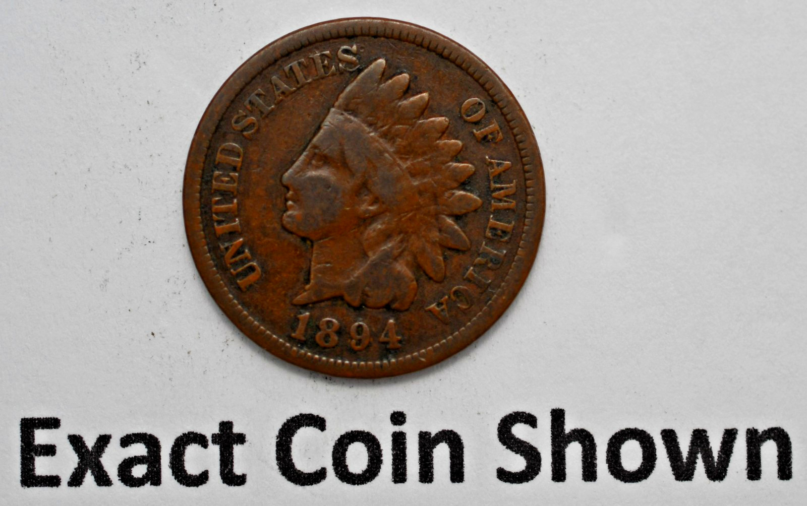 1894 Indian Head Cent Exact Coin Shown 1894 Indian Head Cent Exact Coin Shown