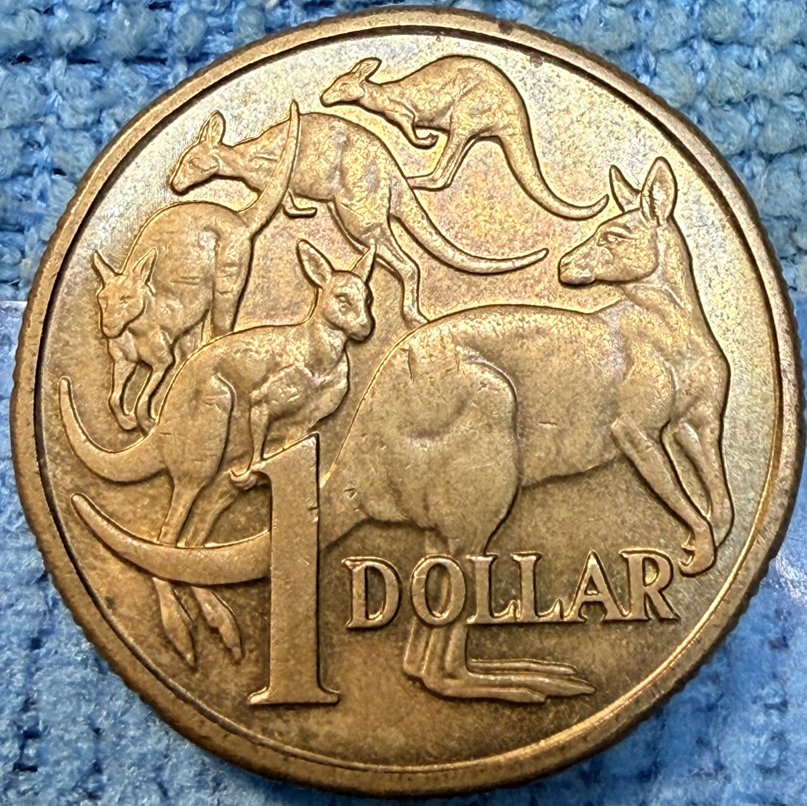 Rare-Elizabeth ii 1984 Australia 1 dollar Rare-Elizabeth ii 1984 Australia 1 dollar