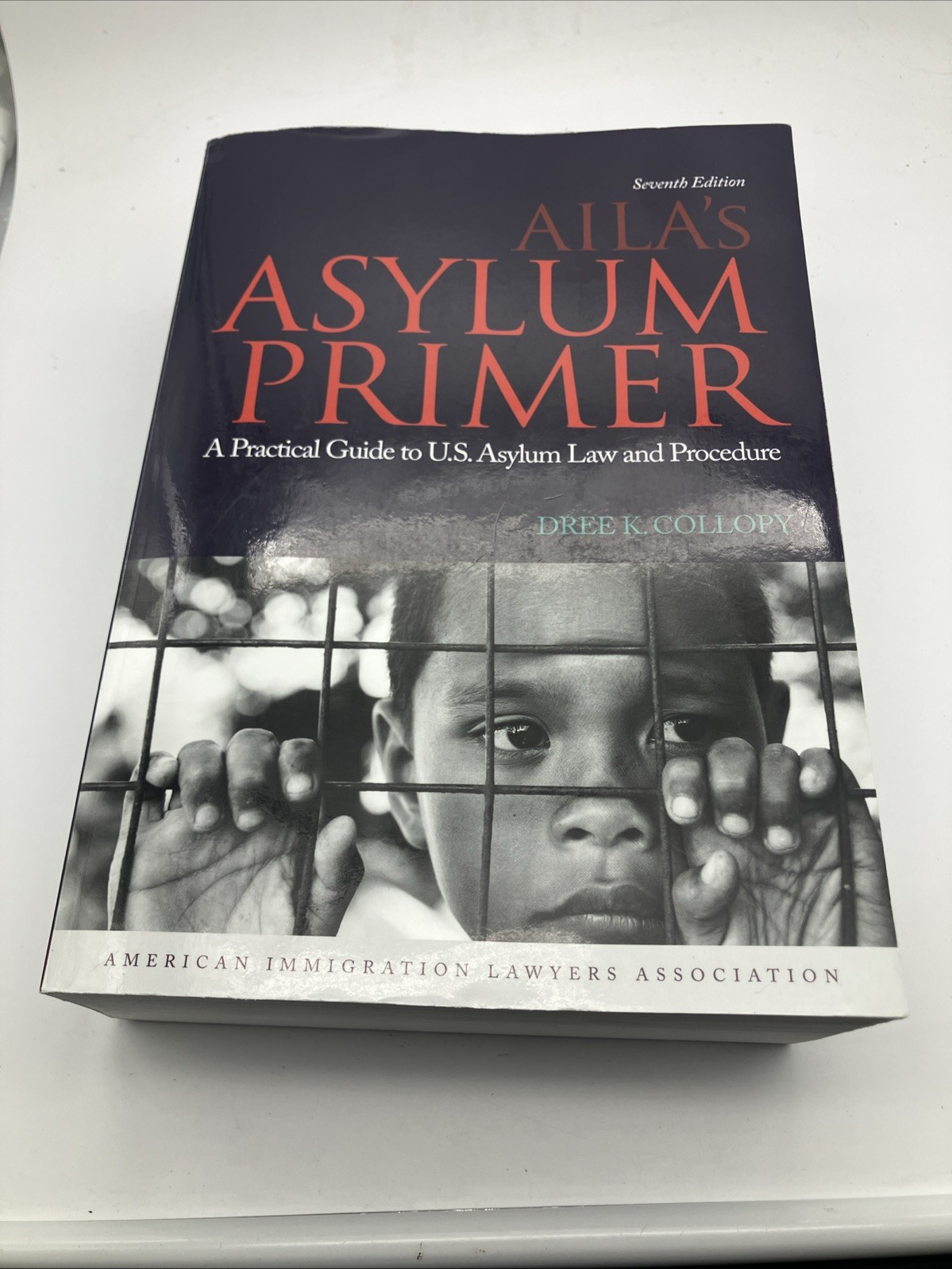 Aila\'s Asylum Primer : a Practical  U.S. Asylum Law and Procedure